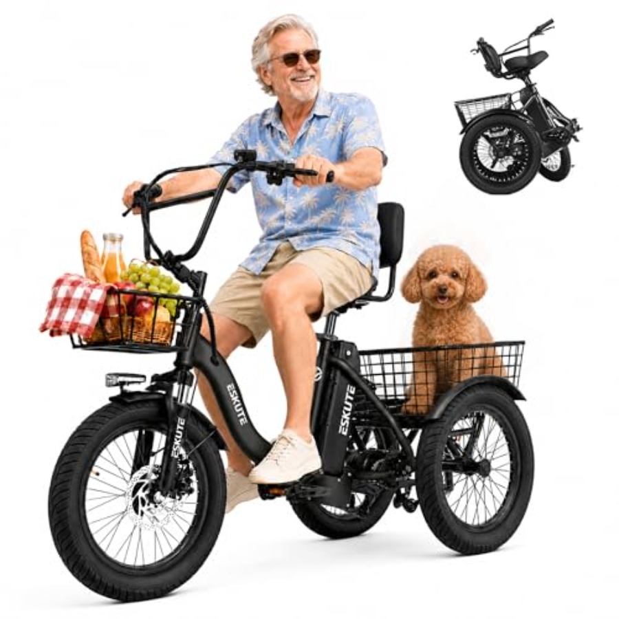 Commuting With Bike - Adults electric trike bike for urban